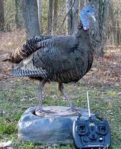 Turkey robot